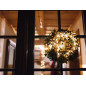 Novalight LED - 6 m - 40 lampes blanc arizona - fil vert