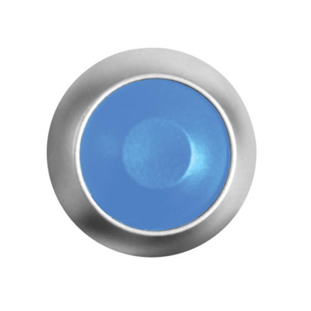 POUSSOIR MÉTALLIQUE ROND AVEC CAPUCHON BLEU - 1P SPST OFF-(ON)