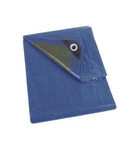 BÂCHE - BLEU/VERT - STANDARD - 2 x 8 m - PRL