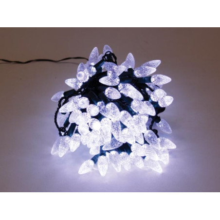 Strawberry Light LED - 12 m - 120 lampes blanches - fil vert - 24 V - 