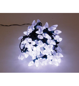 Strawberry Light LED - 12 m - 120 lampes blanches - fil vert - 24 V - 