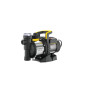 Stanley pompe auto-amorçante, 1300 W, acier inoxydable