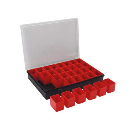 TAYG - Boîte de Rangement - 330 x 247 x 54 mm - 32 Compartiments Amovi