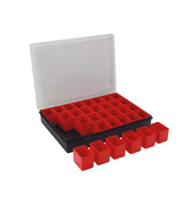 TAYG - Boîte de Rangement - 330 x 247 x 54 mm - 32 Compartiments Amovi