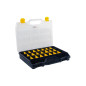 TAYG - Boîte de Rangement - 460 x 350 x 81 mm - 21 Séparateurs Amovibles - 13 L