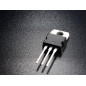 REGULATEUR DE TENSION 15V - 1A