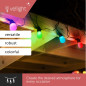 TUYA LED - 15 m - 15 lampes multicolores - càble noir - smart