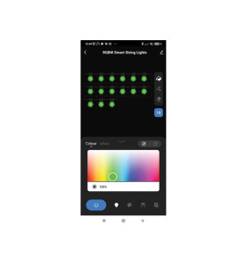 TUYA LED - 15 m - 15 lampes multicolores - càble noir - smart - Vellem