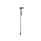 Canne de marche pliable - bronze
