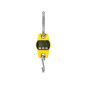 BALANCE À GRUE NUMÉRIQUE - CHARGES LOURDES - 300 kg / 300 g
