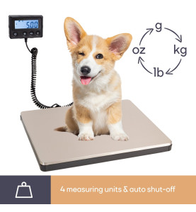 Balance postale numérique avec affichage externe - 100 kg / 10 g - Vel