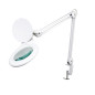 Lampe de travail de bureau avec loupe - 8 dioptries - 22 W - blanc
