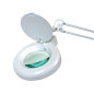 Lampe de travail de bureau avec loupe - 8 dioptries - 22 W - blanc