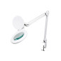 Lampe de travail de bureau à LED avec loupe - 5 dioptries - 4 W - 48 LED - blanc