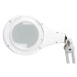 Lampe de travail de bureau à LED avec loupe - 5 dioptries - 4 W - 48 LED - blanc