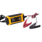 CHARGEUR INTELLIGENT POUR BATTERIE À ACIDE DE PLOMB - 12 VDC - 1.5 A