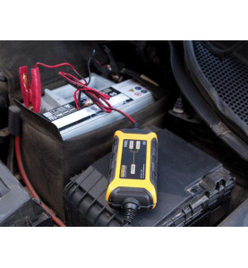 CHARGEUR INTELLIGENT POUR BATTERIE À ACIDE DE PLOMB - 12 VDC - 1.5 A -