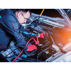 CHARGEUR POUR BATTERIE À ACIDE DE PLOMB - 12 V - 6 A