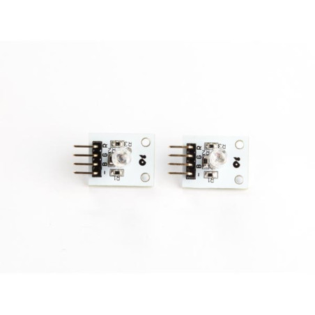 MODULE RGB LED (2 pcs)