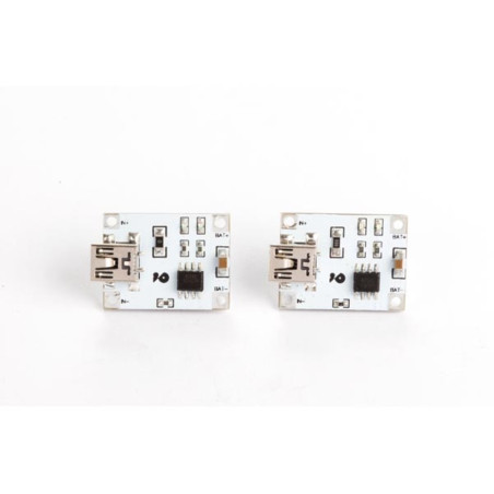 MODULE DE CHARGEMENT DE BATTERIE LITHIUM 1 A (2 pcs)