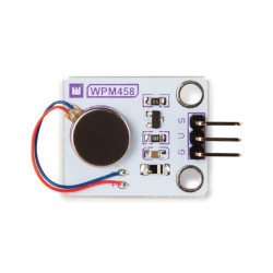 MODULE MOTEUR À VIBRATIONS (2 pcs)
