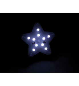 ÉTOILE LUMINEUSE BLANCHE - WH