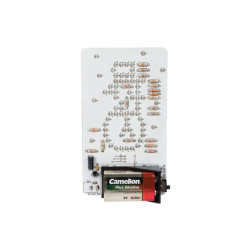 BONHOMME DE NEIGE