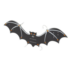 CHAUVE-SOURIS CMS - WH