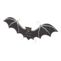 CHAUVE-SOURIS CMS