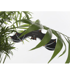 CHAUVE-SOURIS CMS - WH