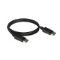 Câble DisplayPort - 2 m