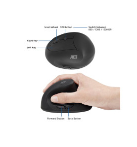 Souris ergonomique sans fil - 1600 DPI - Velleman