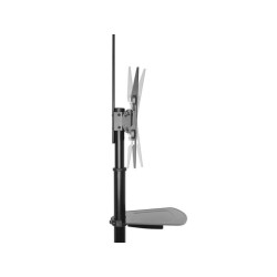 Support de sol mobile pour TV/moniteur, 37" à 70", VESA