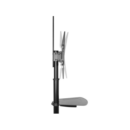 Support de sol mobile pour TV/moniteur, 37" à 70", VESA