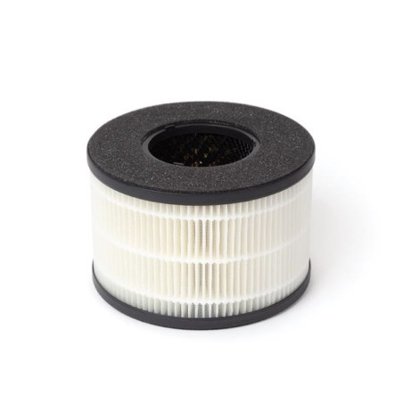 HEPA filtre pour AIRP001 - PRL