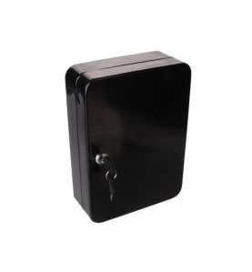 Armoire à clés, 48 ??clés, 250 x 180 x 80 mm - PRL