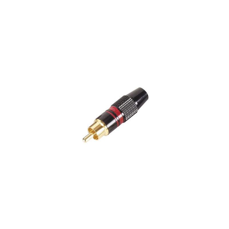 FICHE RCA MALE - DOREE - CAPOT NOIR - BAGUE ROUGE