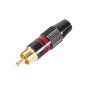 FICHE RCA MALE - DOREE - CAPOT NOIR - BAGUE ROUGE