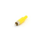 FICHE RCA MALE - JAUNE