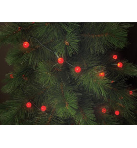 Cherry Light LED - 12 m - 120 lampes rouges - fil vert - 24 V - Vellem