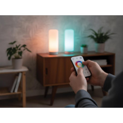 Système multizone - Télécommande LED RF CCT et RGB - 4 zones