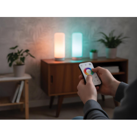 Système multizone - Télécommande LED RF CCT et RGB - 4 zones