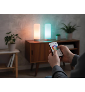 Système multizone - Télécommande LED RF CCT et RGB - 4 zones - Vellema