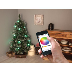 Colourlight - 8 m - 16 lampes RVB - fil noir - 12 V