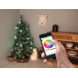 Colourlight - 8 m - 16 lampes RVB - fil noir - 12 V