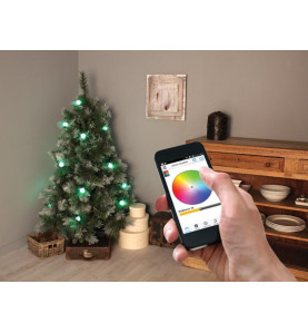 Colourlight - 8 m - 16 lampes RVB - fil noir - 12 V - Velleman