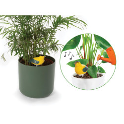 Ensemble comprenant 4 types d'alarmes de sol sec
