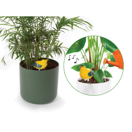 Ensemble comprenant 4 types d'alarmes de sol sec