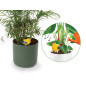 Ensemble comprenant 4 types d'alarmes de sol sec