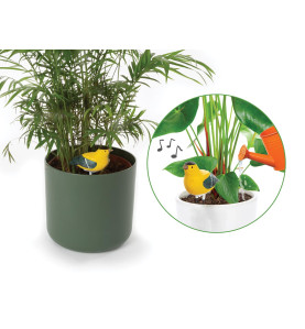 Ensemble comprenant 4 types d'alarmes de sol sec - PRL